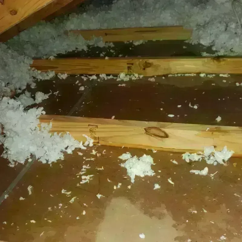 Attic Water Damage in Colusa, CA